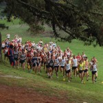 run-cross-country_start4