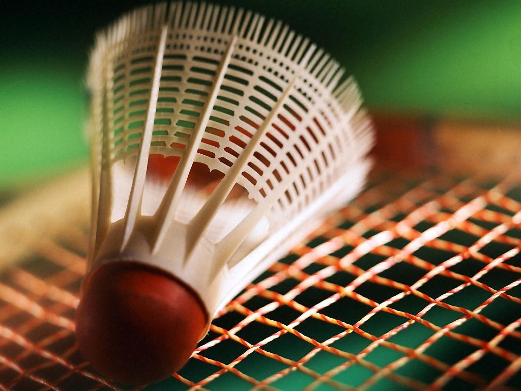 Badminton : résultats du 28 novembre